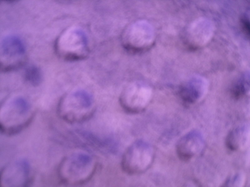 File:Bobbles purple.jpg